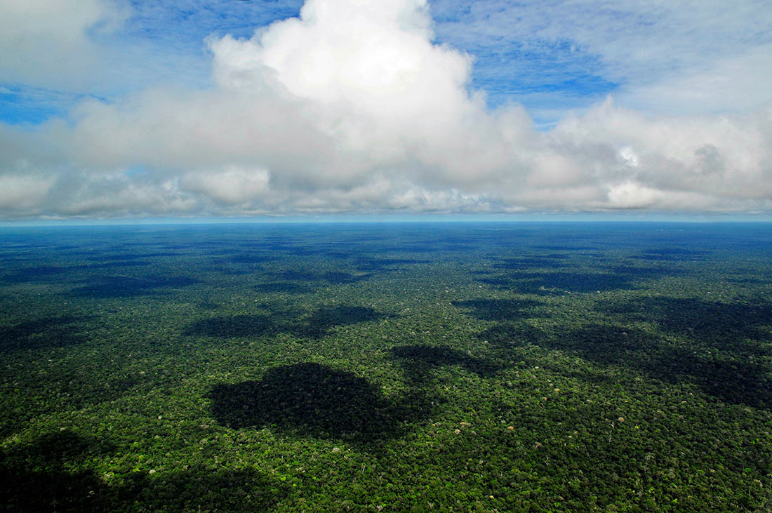 Tropikalne lasy Amazonskie