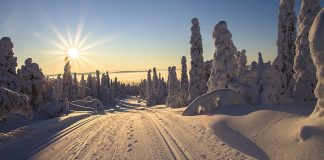 Зимние курорты Финляндии: 10 лучших мест отдыха в удивительной стране